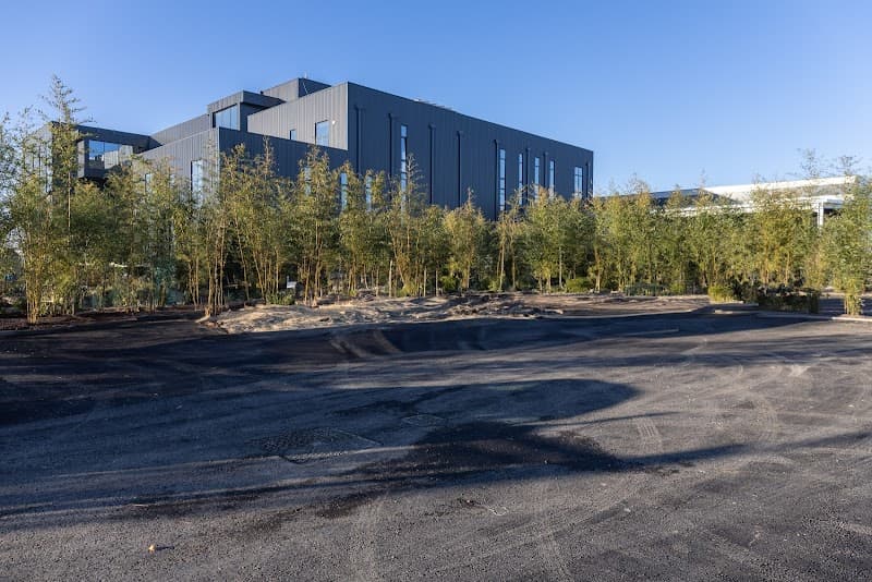 Custom Group Fontevivo photo