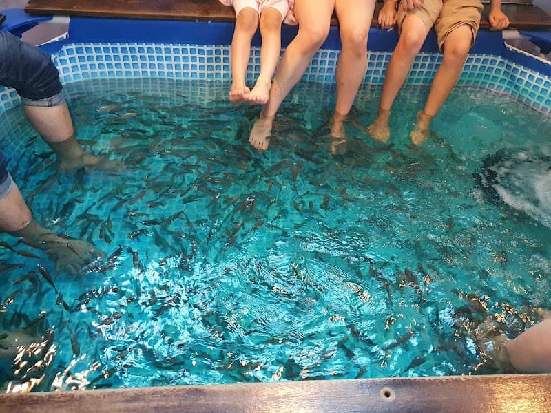 Cute Fish Spa Seri Kembangan photo