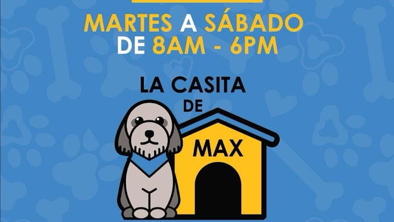 D' Gala Spa & Estetica Canina San Luis Río Colorado photo