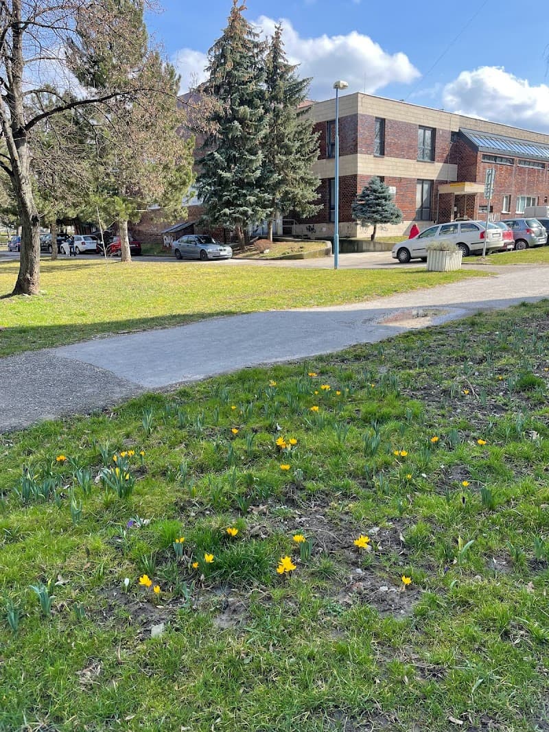 D Štúdio Línia Dubnica nad Váhom photo