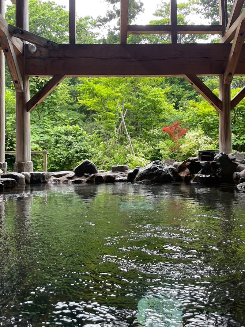 Daisen Nakayama Onsenkan Yu-yu Club Nasparu Daisen, Saihaku District photo