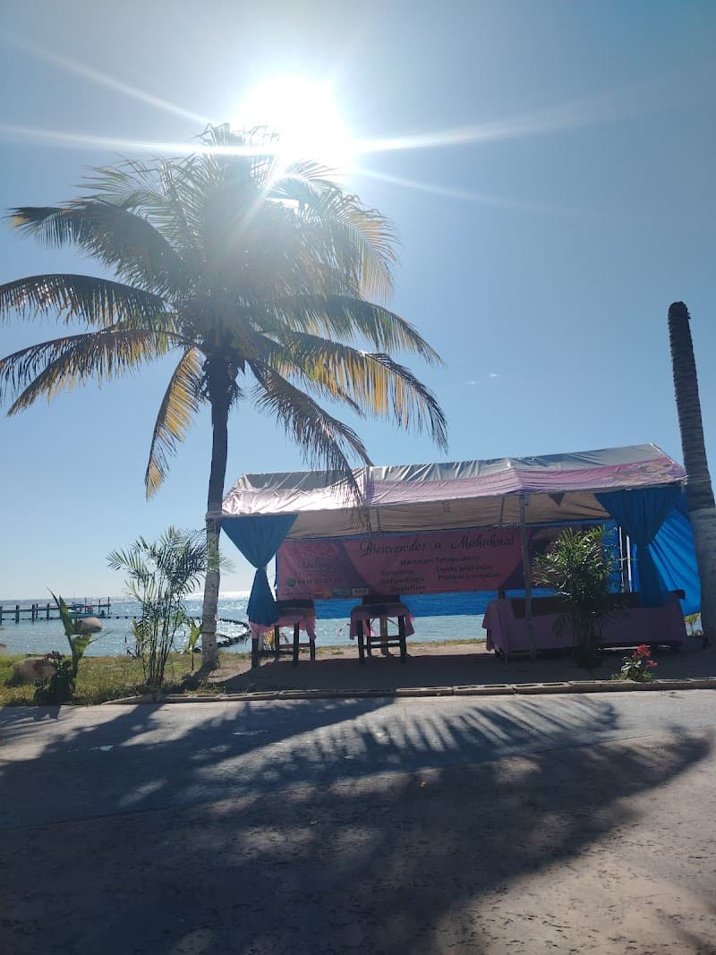 Dalia's Massage Othón P Blanco photo