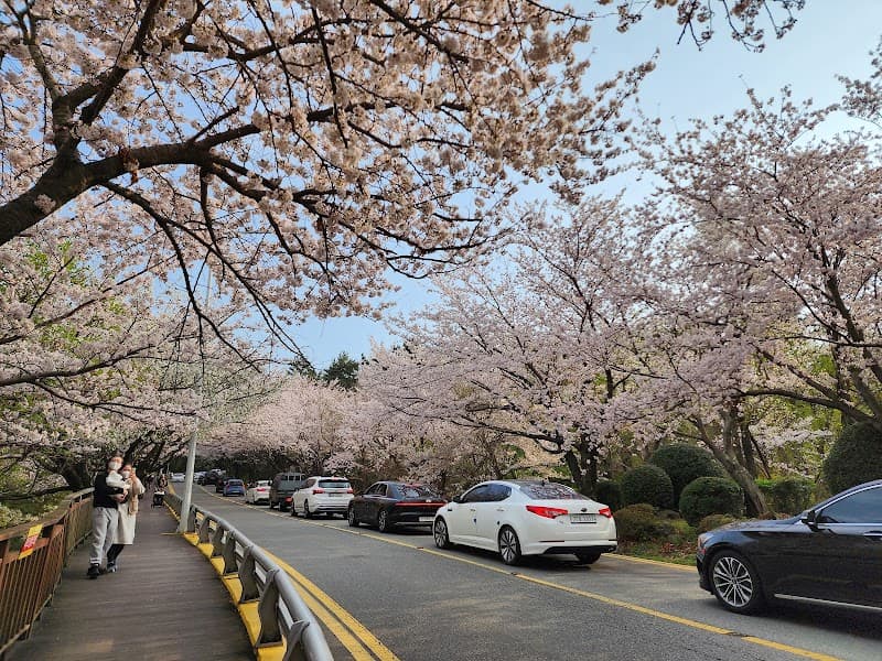 Dalmaji Hwangto Bulhan Jummak Cheondeok-ri photo