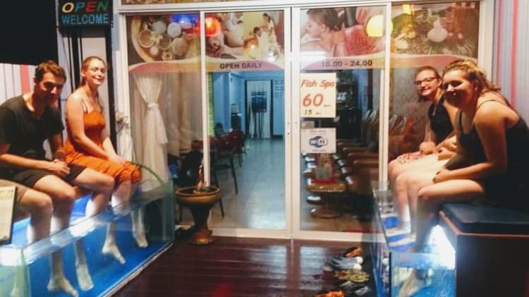 Darlin's Massage & Fish Spa Chiang Mai photo