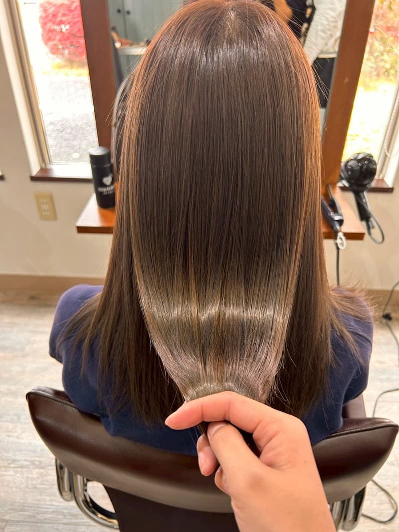 Dasty Shiojiri Shiojiri City photo