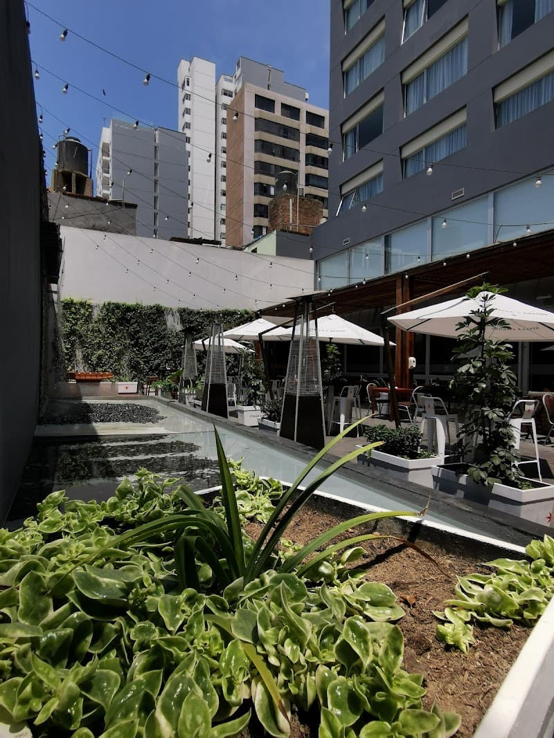 Dazzler by Wyndham Lima Miraflores photo