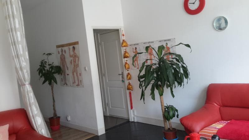 DDS Meridian Health Massage Den Haag photo