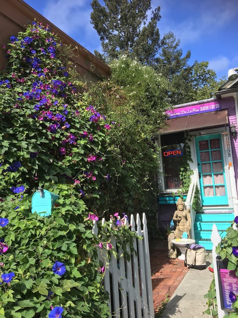 De La Rue Skincare and Day Spa Calistoga photo