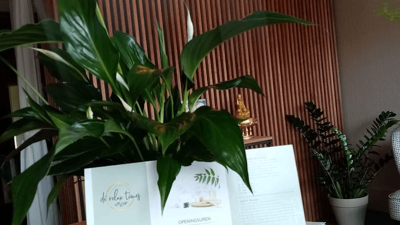 De'Relaxtimes Thai Massage Leuven photo