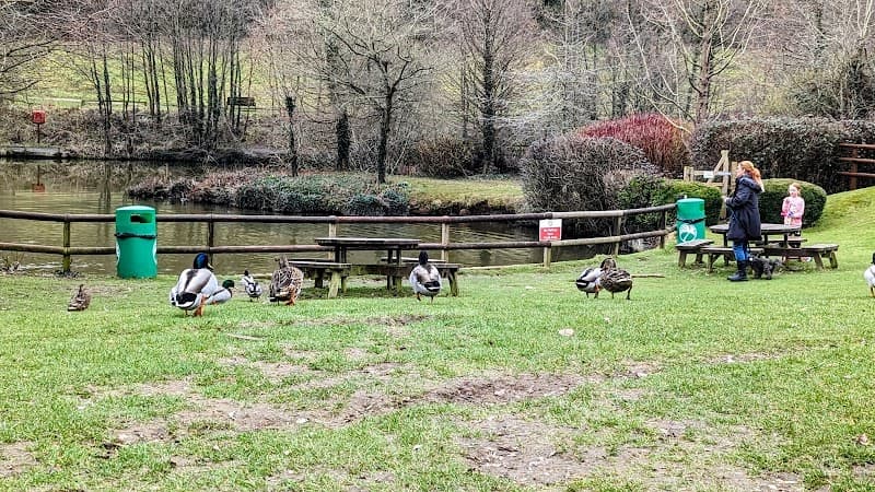 Deers Retreat - Finlake Resort & Spa Chudleigh photo