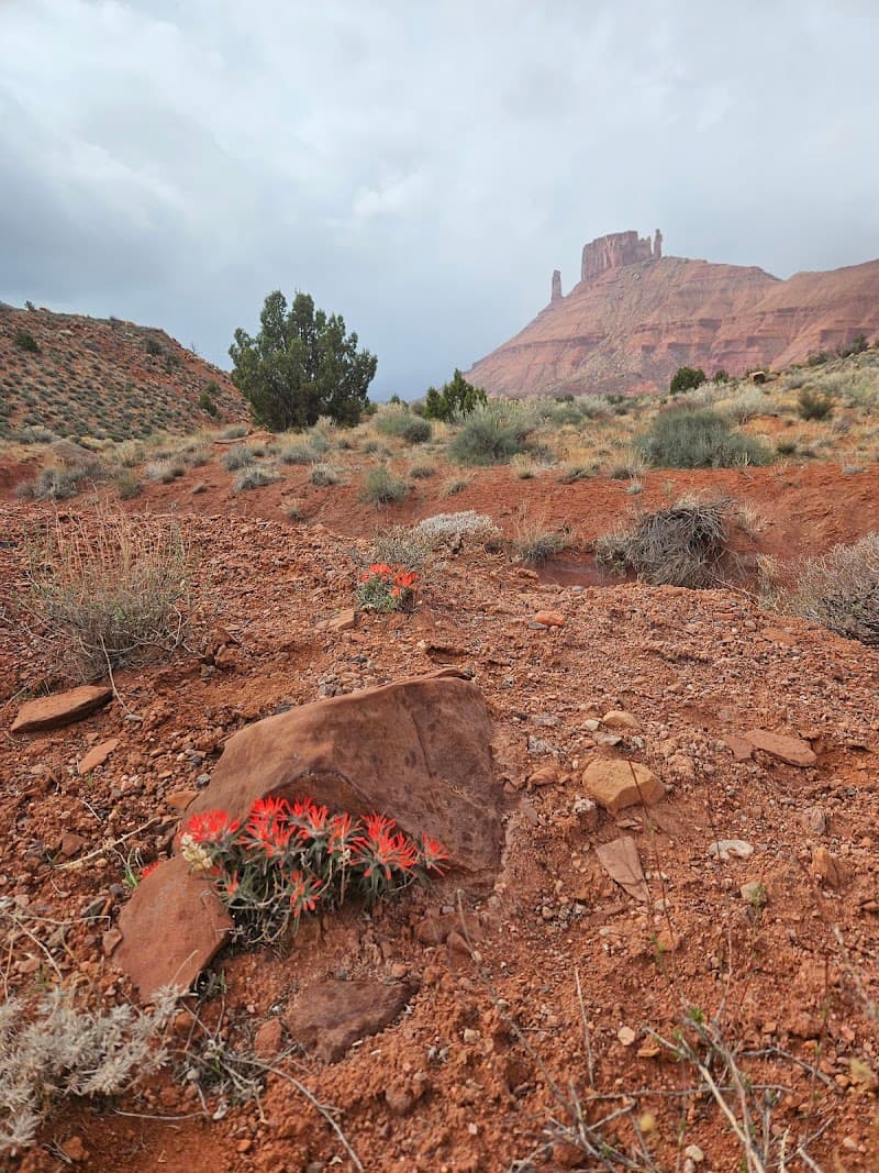 Del Sol Massage and Del Sole Nails Moab photo