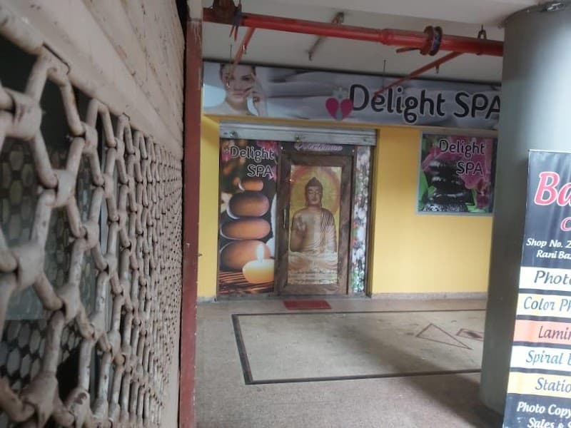Delight Spa Bikaner photo