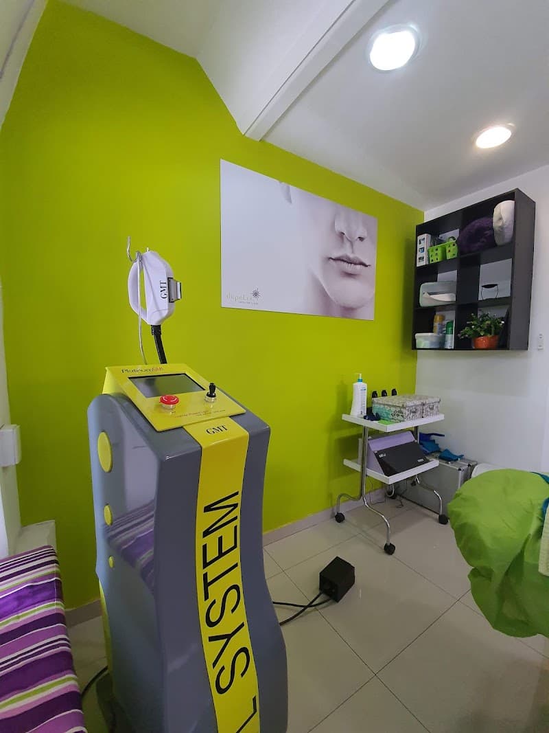 Depelle Insurgentes San Angel Álvaro Obregón photo