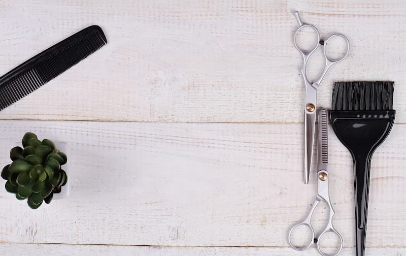 Deprese Salon Matteson photo