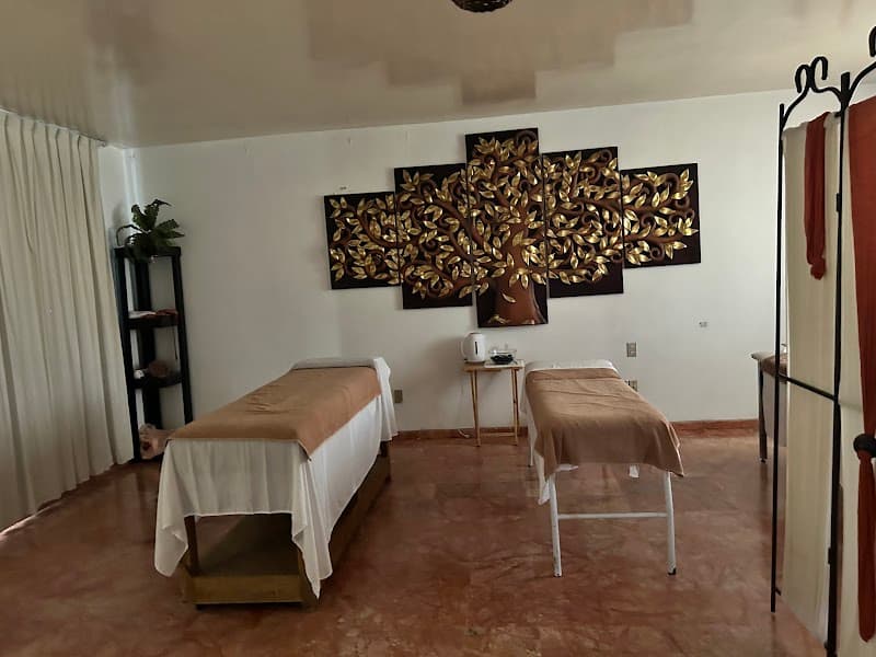 Design Facial Guadalajara photo
