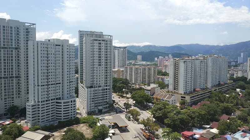 Dezorra Jelutong H20 photo