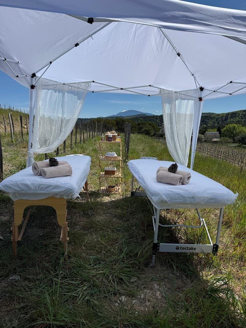 Di-vinothérapie Piolenc photo