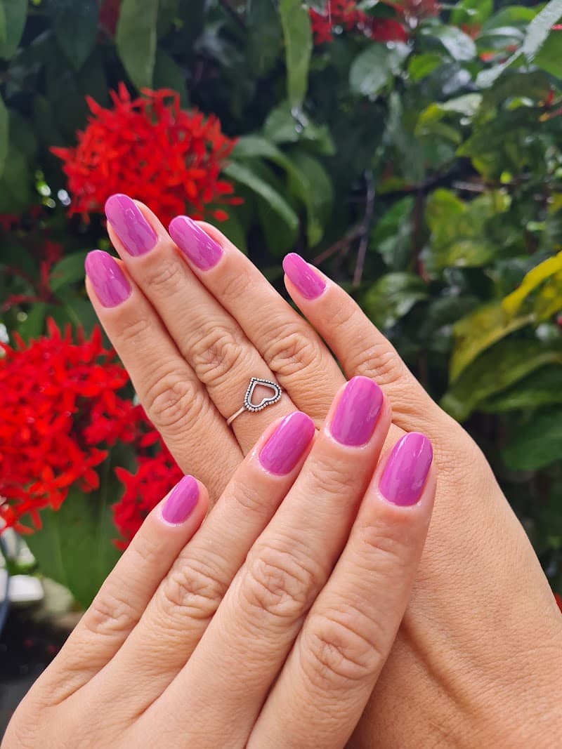 Diva Esteticista São Caetano do Sul photo