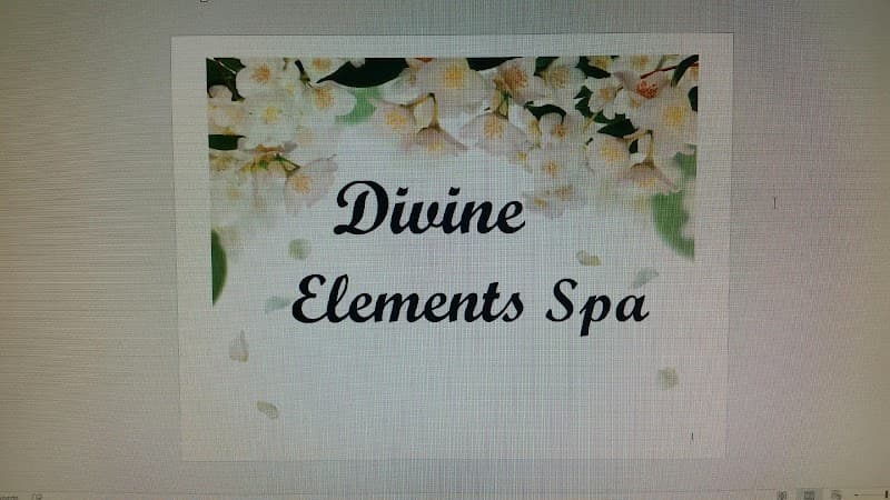 Divine Elements Spa Fairview Park photo
