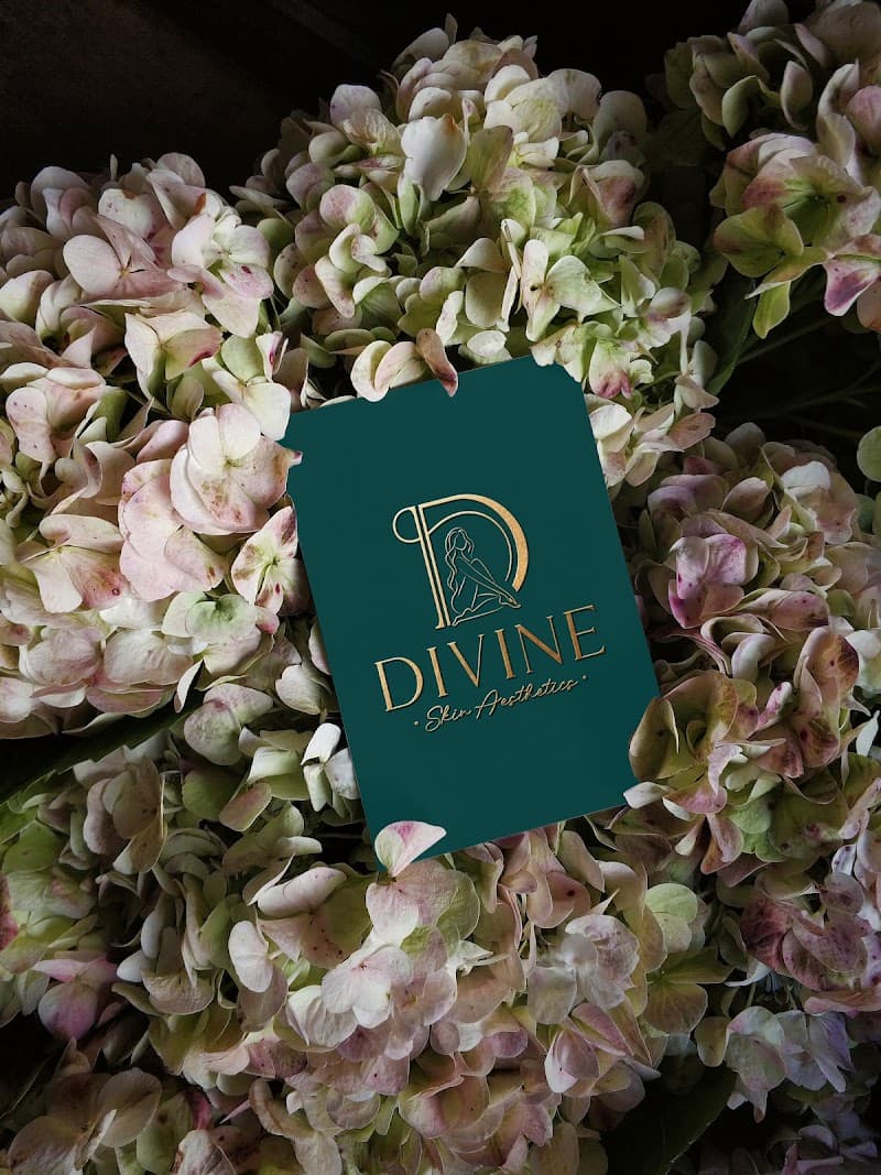 Divine Skin Aesthetics Commack photo