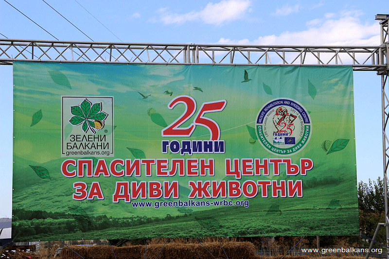 Stara Zagora Centre djungla photo