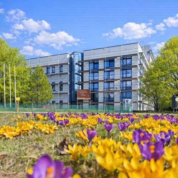 Dobrostan - Karolina Ruta. Masaże, Lomi Lomi, TCK. Łódź photo