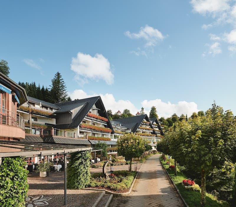 Dollenberg - Schwarzwald Resort Black Forest photo