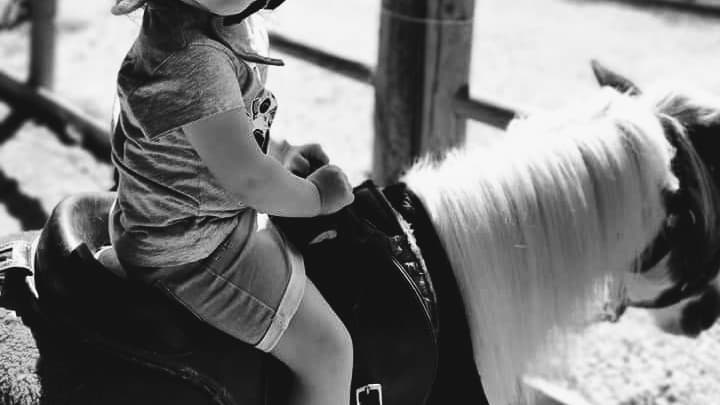 Domaine d'Alania Montauban photo