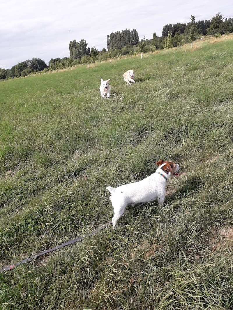 Domaine des Saules Bondues photo