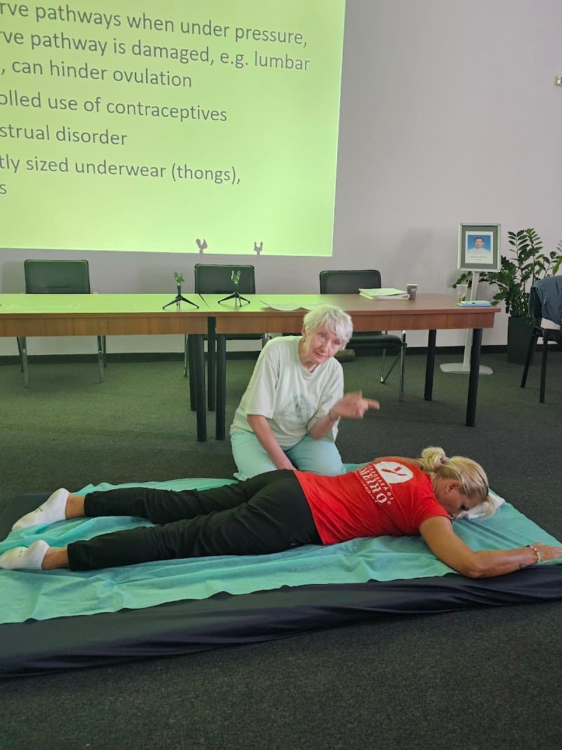 Domborító Masszázs Pont Hódmezővásárhely photo