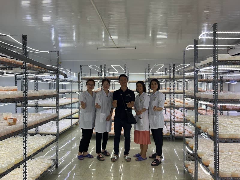 Dong Trung Ha Thao - Sonita Quang Ngai Huyện Sơn Tịnh photo