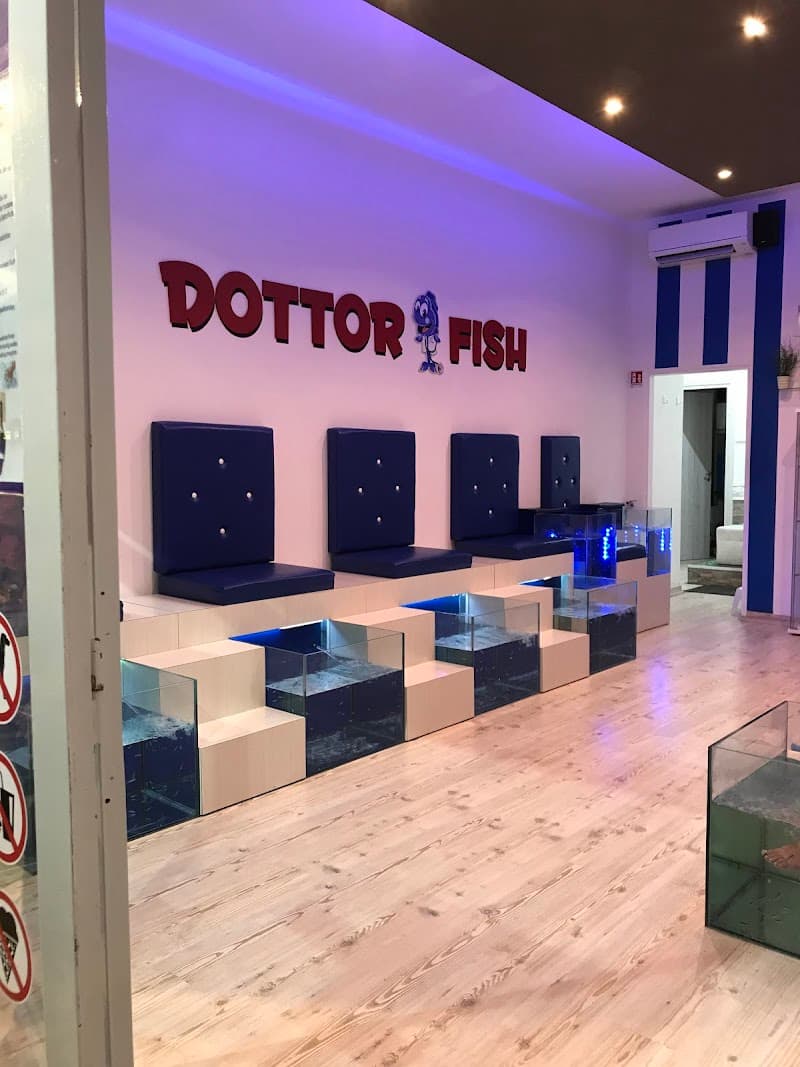 Dottor FISH Cesenatico photo