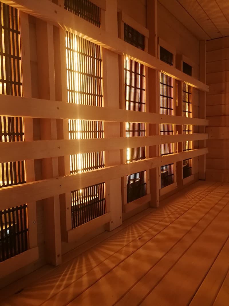 Dotyk Lasu Białystok photo