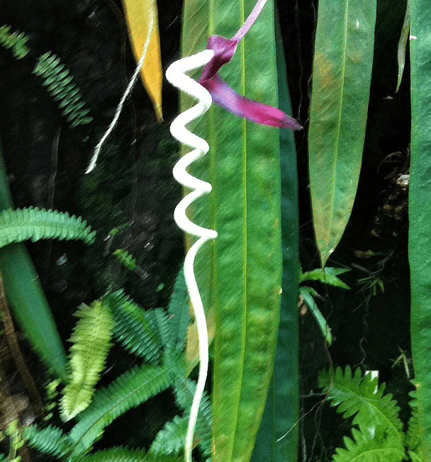 Doudin Françoise Massages Thérapeutiques Carouge photo