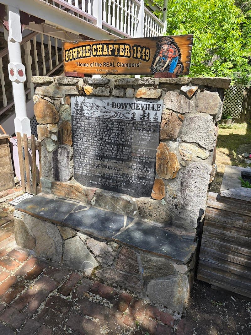 Downieville Day Spa photo