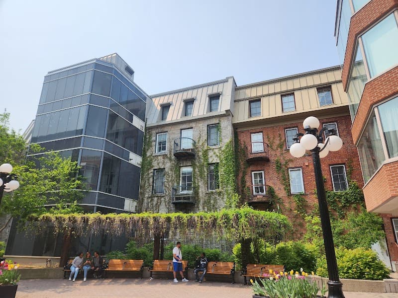 Downtown Bed and Breakfast Ottawa photo