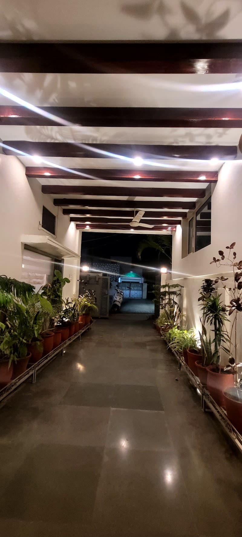 Dr. Bali's Ayurveda Patiala photo