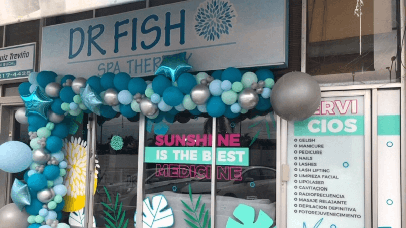 Dr. Fish Spa Therapy Nails Tampico photo