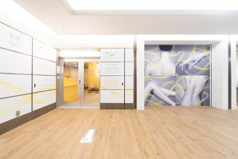 Dr. Liu Method HARI-UP Roppongi Hills Clinic Minato Ward photo