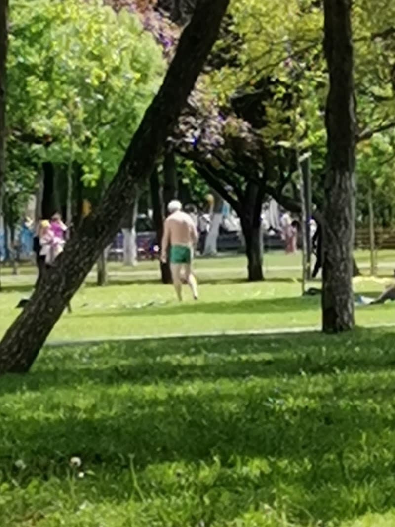 Dragomir Emilia Massage Cugir photo