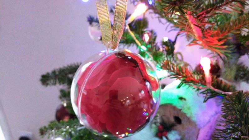 Du Bonheur Amassé Roche-la-Molière photo