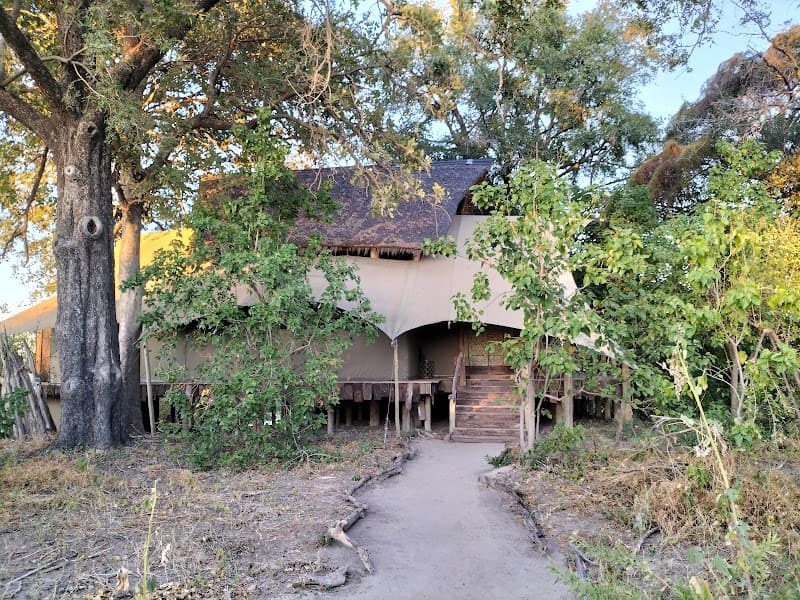 Duba Plains Camp Okavango Delta photo