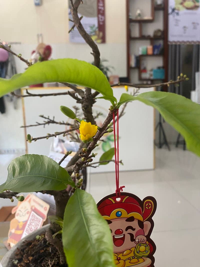 Dưỡng Sinh Cổ Vai Gáy Quảng Ngãi photo