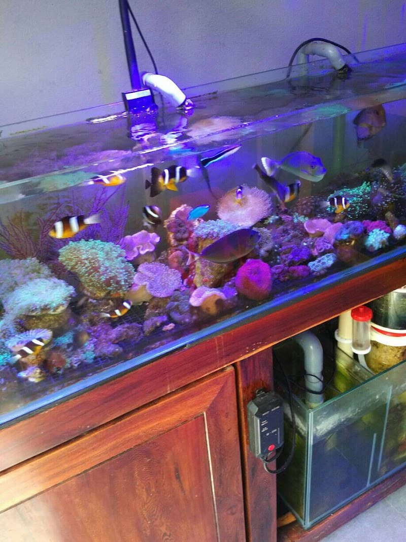 Dứt Điểm Tiền Đình Kon Tum photo