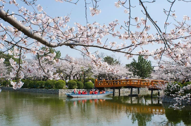 E. Sakura Branch Sakura City photo
