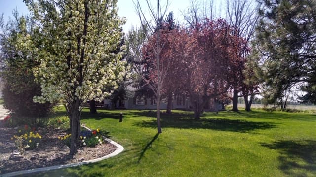 Eagle Chiropractic & Massage Therapy Idaho Falls photo