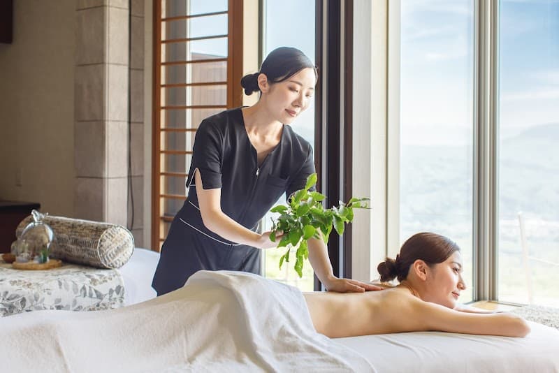 Earth SPA By CLARINS Myoko City photo