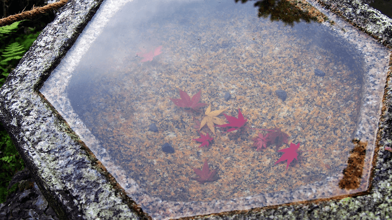 Lower Hutt ease Japanese Massage photo
