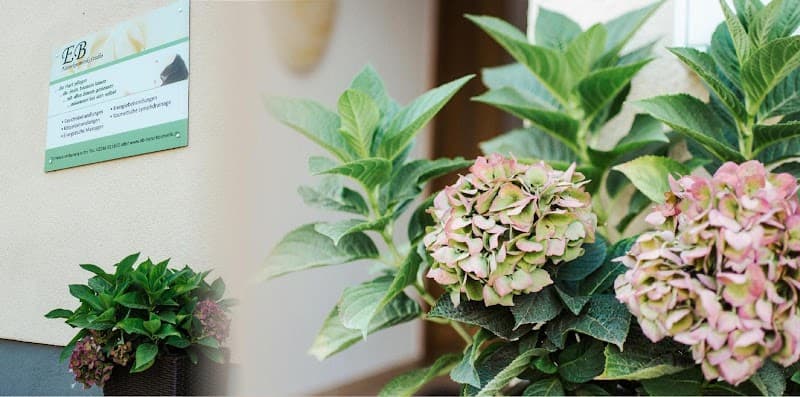 EB-Naturkosmetik Siegburg photo