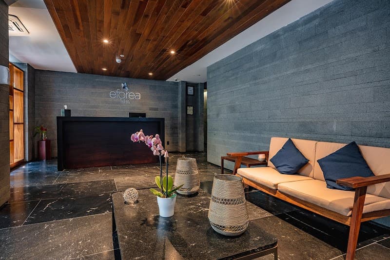 Puerto Vallarta eforea Spa at Hilton Vallarta Riviera photo